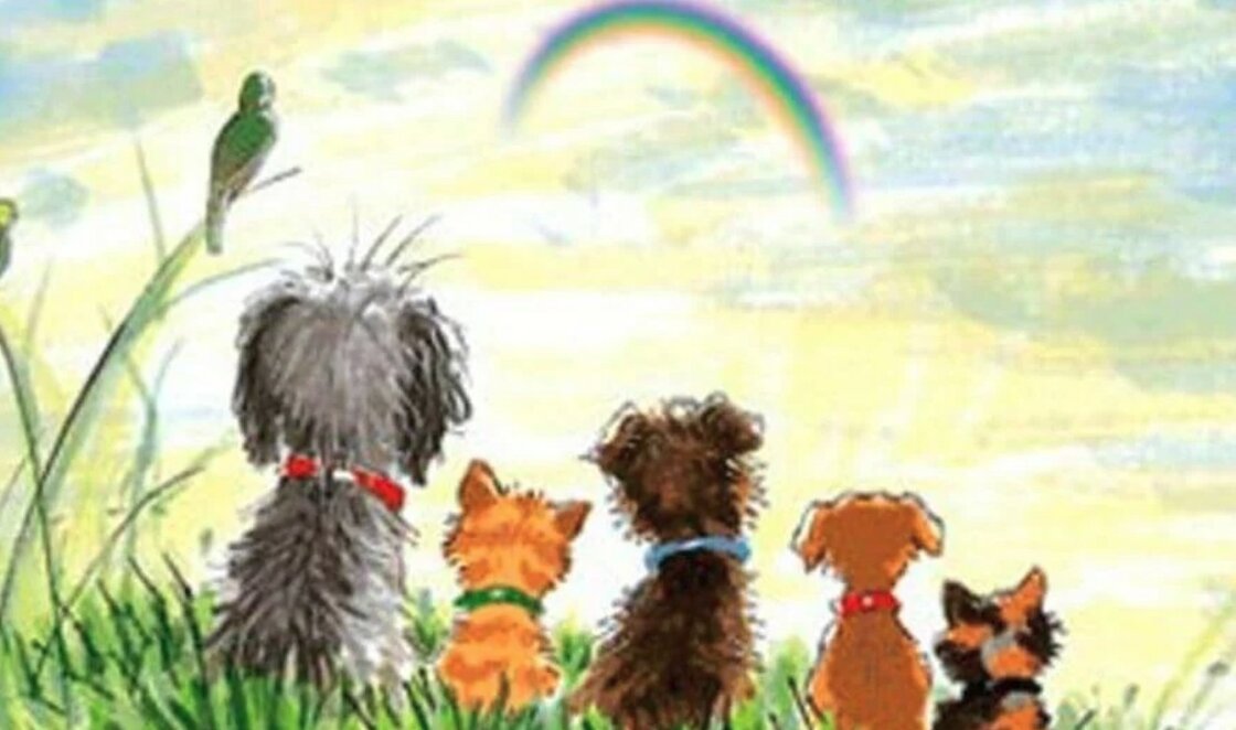 Alles voor Huisdieren